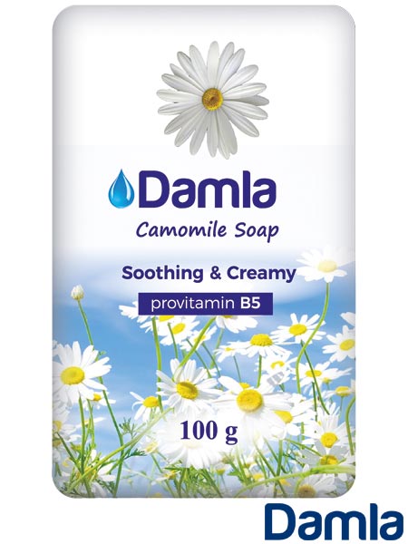 ARTBHP-HM-DAMLA-SC.jpg