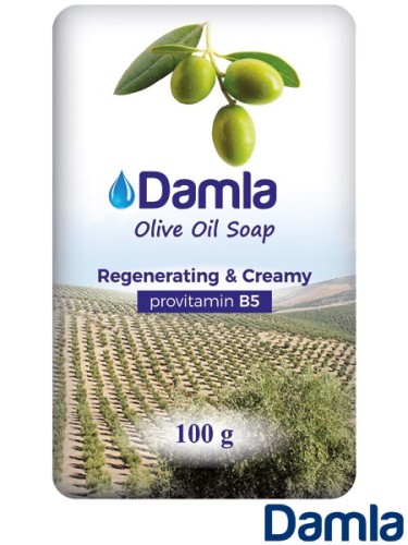 ARTBHP-HM-DAMLA-RC.jpg