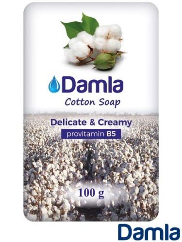 ARTBHP-HM-DAMLA-DC.jpg