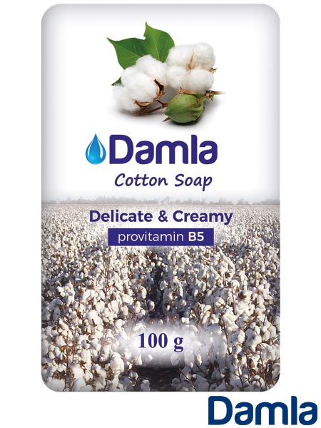 ARTBHP-HM-DAMLA-DC.jpg