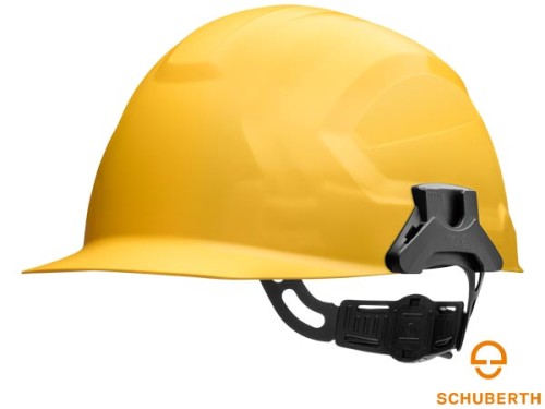 ARTBHP-SCHUB-CRS-ELEC_Y.jpg