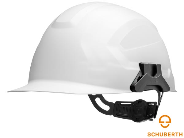ARTBHP-SCHUB-CRS-ELEC_W.jpg