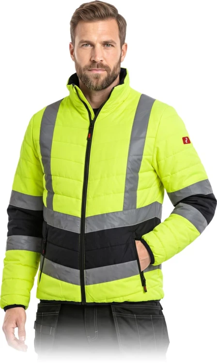 VIZION-J_YG2XL.jpg