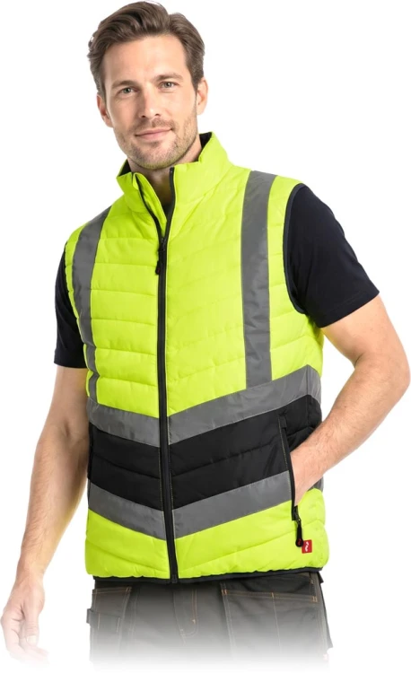 VIZION-V_YG2XL.jpg