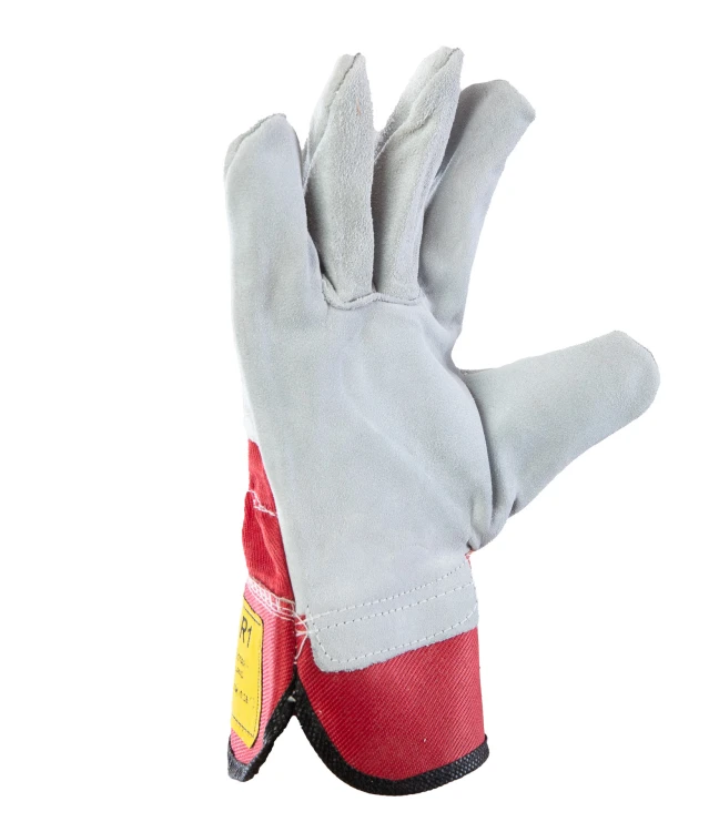 RHR2-ce-3
