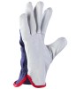 RSCA-x-3