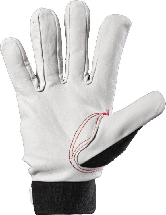 RSCP-x-1