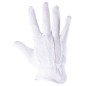 RTBP-x-0