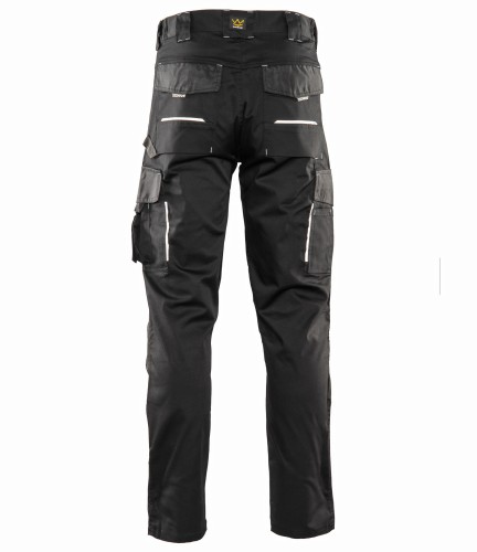 ADSP-ca-v3-1
