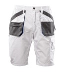 APKS-bi-v3-0
