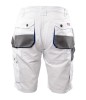 APKS-bi-v3-1