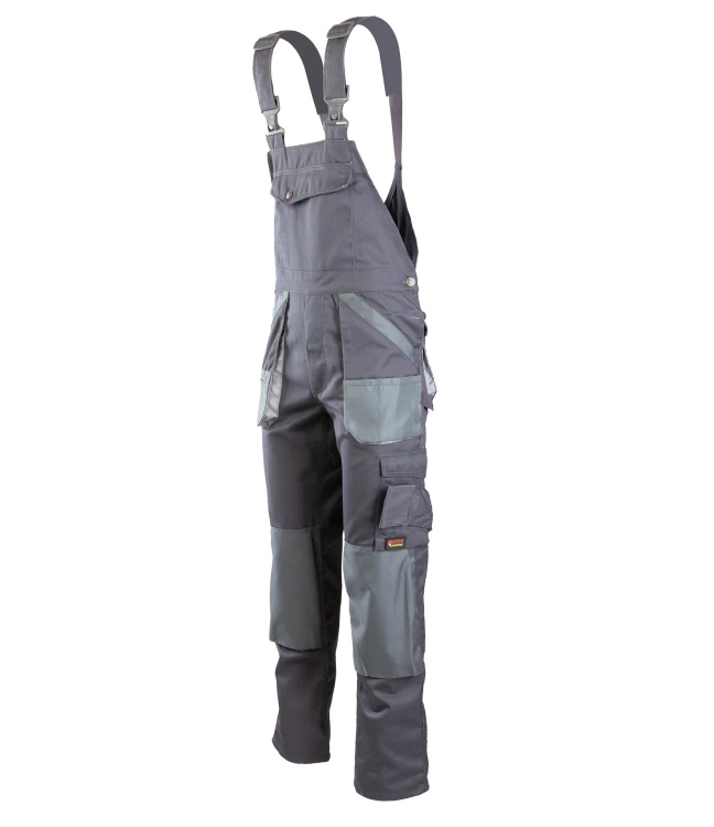 APOG-s-v3-2