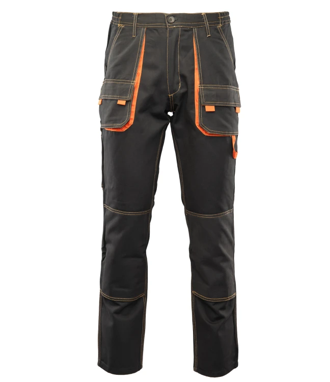 ASSP-g-v3-0