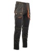 ASSP-g-v3-4