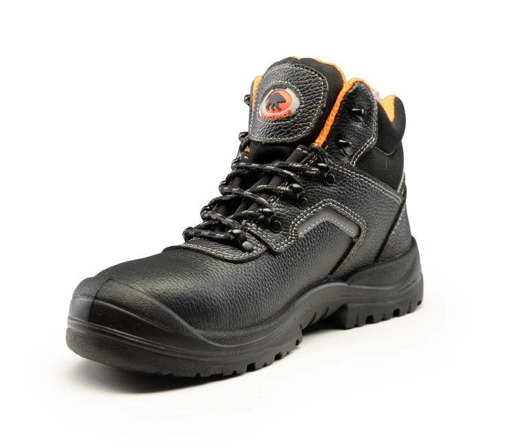 BBR3-x-v3-5