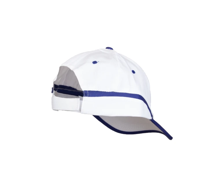 CCBA-bg-v3-4