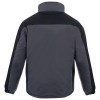 ALPER-GRAY-3