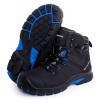 COBALT-S1-2