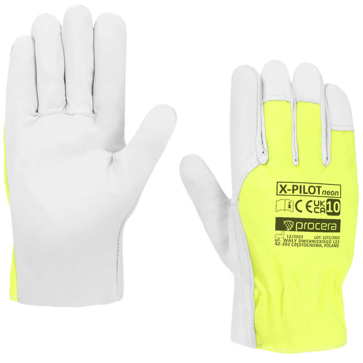 X-PILOT-NEON-0